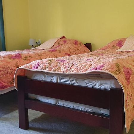 Apartment Roxana Centar 노비사드 외부 사진