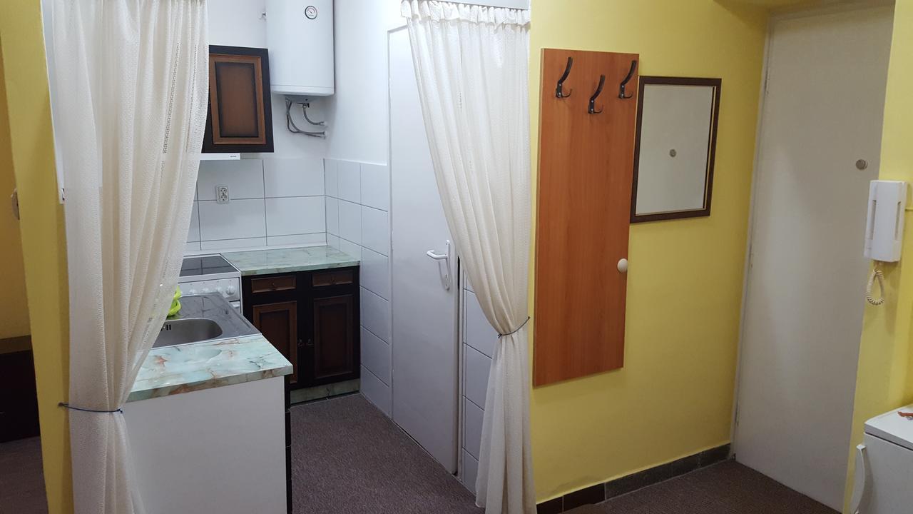 Apartment Roxana Centar 노비사드 외부 사진
