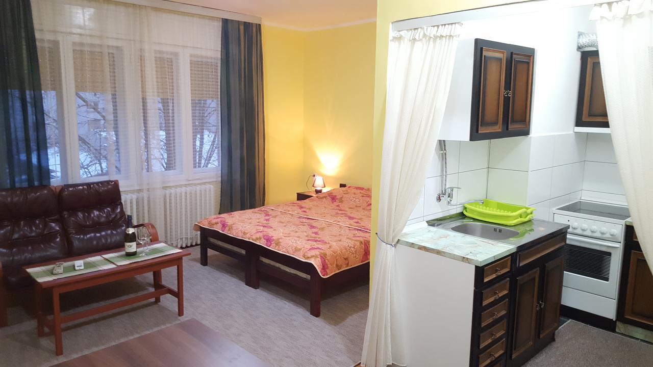 Apartment Roxana Centar 노비사드 외부 사진